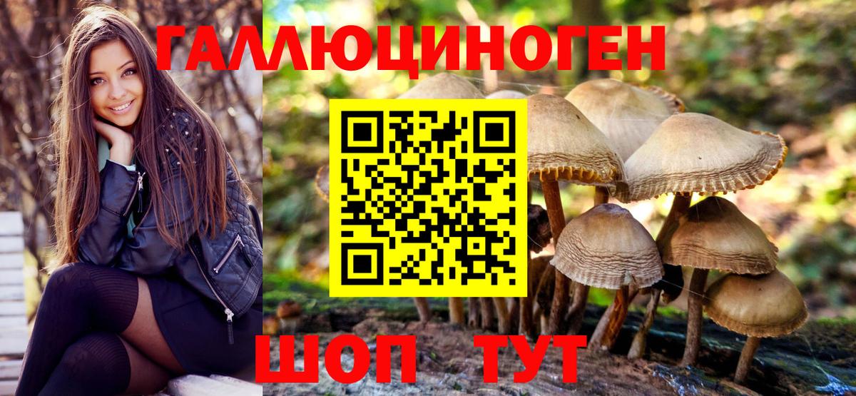 Зерноград  Псилоцибиновые грибы мицелий  Вход с VPN 