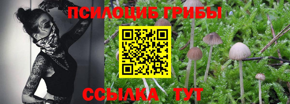 Галлюциногенные грибы MAGIC MUSHROOMS Зерноград